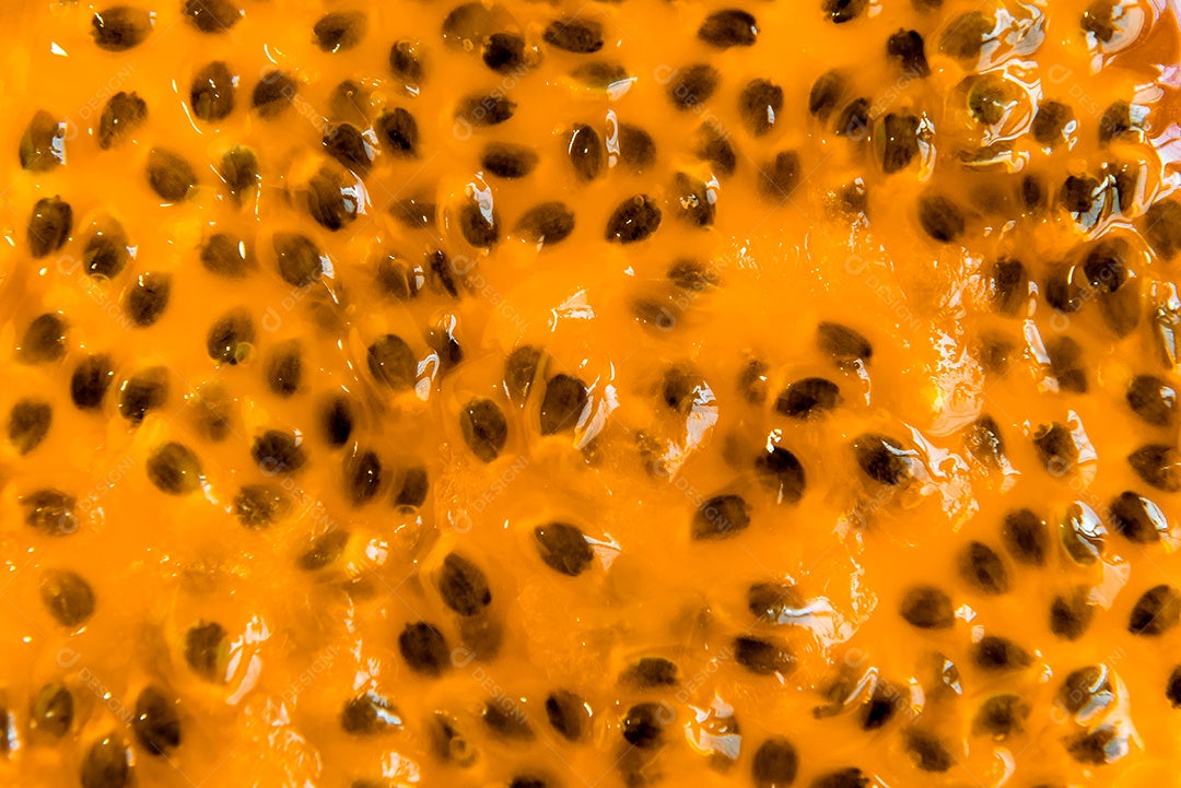 Polpa de Maracujá Congelada com Sementes - 454g (BRAZILIAN MARKET) - B.B: Dec/2026