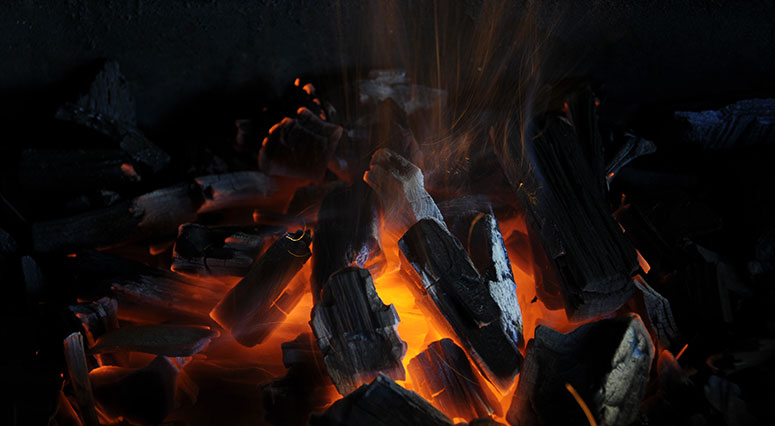 Carvão Brasileiro (BBQ TIME CHARCOAL)
