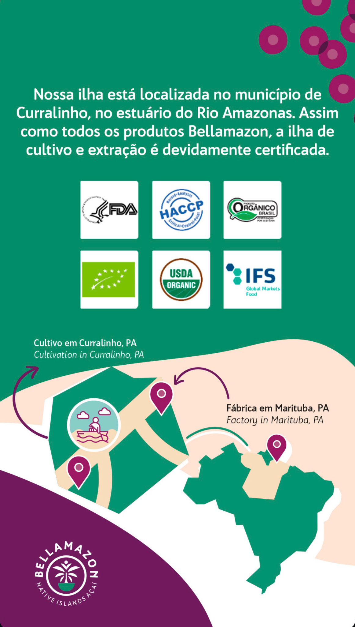 Polpa de Acai Organico Puro (BELLAMAZON)