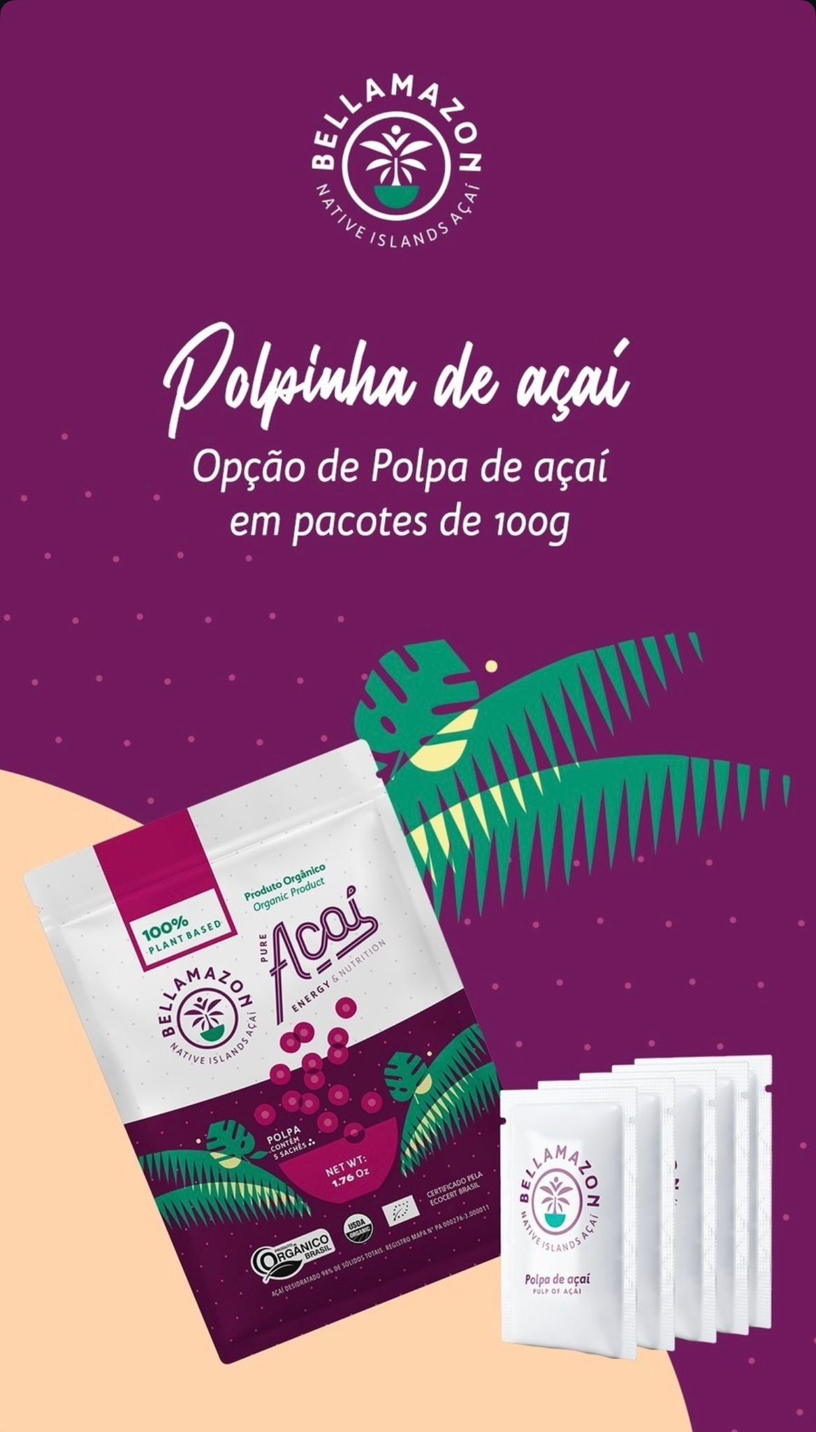Polpa de Acai Organico Puro (BELLAMAZON)