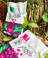 Polpa de Acai Organico Puro (BELLAMAZON)