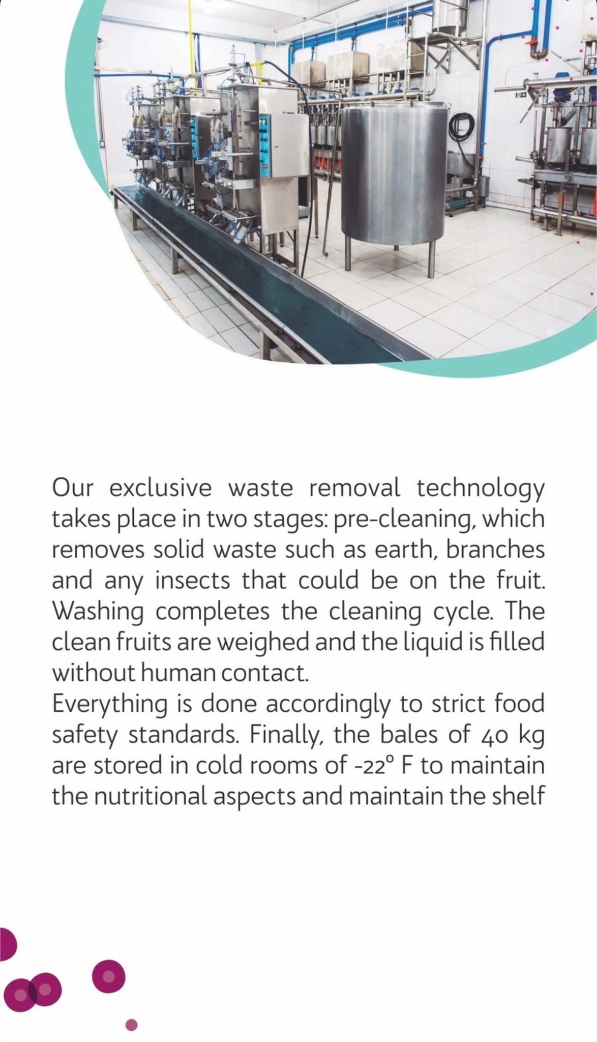 Polpa de Acai Organico Puro (BELLAMAZON)