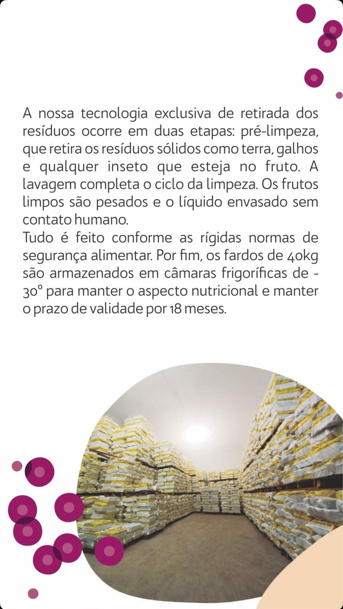 Polpa de Acai Organico Puro (BELLAMAZON)