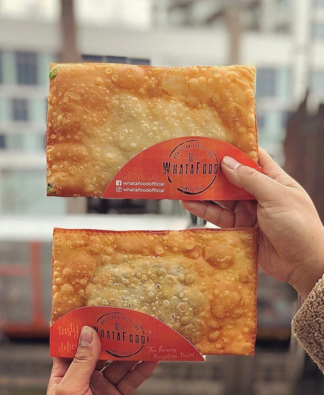 Massa de Pastel Congelada 500g (WHATAFOOD)