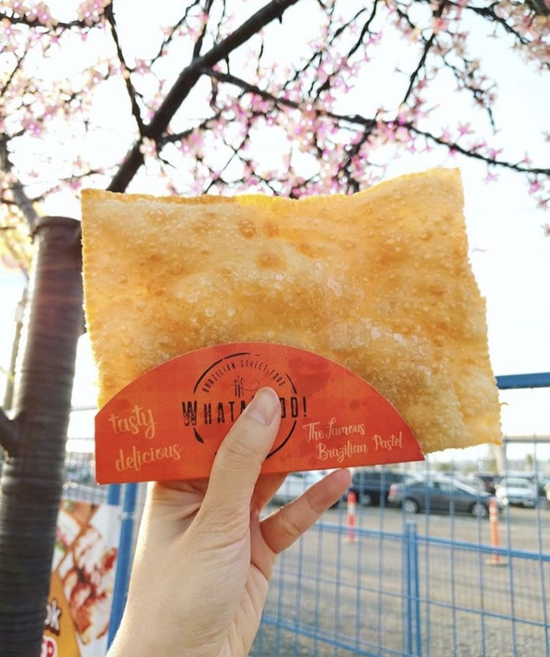 Massa de Pastel Congelada 500g (WHATAFOOD)