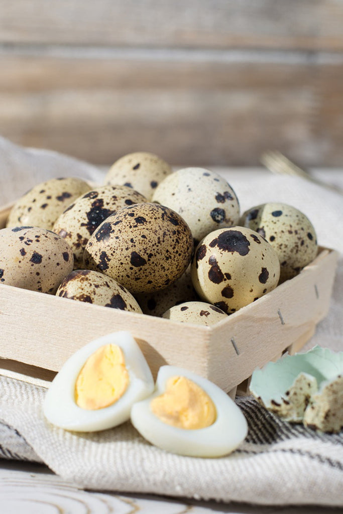 Quail Egg (BRAZILIAN MARKET) - BB: September 25, 2025 - FINAL SALE